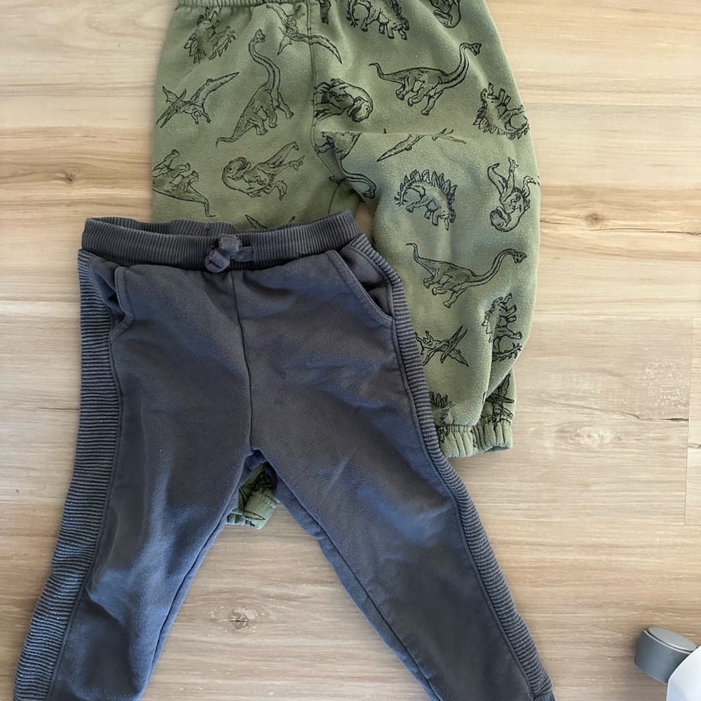 Kids Dinosaur Print Green and Gray Bottoms